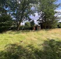 Grundstück zu verkaufen in Bergen (Dumme) 100.000,00 € 2446 m²