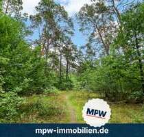 Grundstück zu verkaufen in Berlin 277.000,00 € 96510 m²