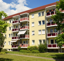 Wohnung zum Mieten in Riesa 310,00 € 48.8 m²