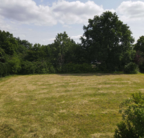Grundstück zu verkaufen in Winsen ( Aller ) 160.000,00 € 1106 m²