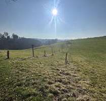 Grundstück in Warstein 138.753,00 € 46251 m²