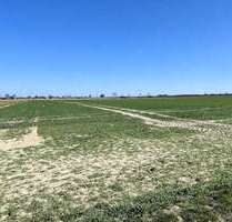 Grundstück in Erwitte 432.000,00 € 33225 m²