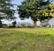 Grundstück zu verkaufen in Kelsterbach 260.000,00 € 223 m²