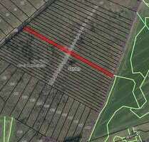 Grundstück in SehlenRügen OT Groß Kubbelkow 18.000,00 € 4750 m² - Sehlen/Rügen OT Groß Kubbelkow