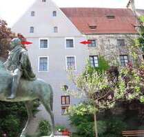 Wohnung zum Kaufen in Memmingen 750.000,00 € 238 m²