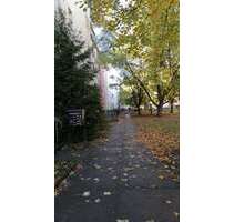 Wohnung zum Mieten in Dresden 245,00 € 33.9 m²