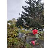 Wohnung zum Mieten in Dresden 307,00 € 47.43 m²