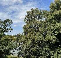 Wohnung zum Mieten in Münster 4.980,00 € 215 m²