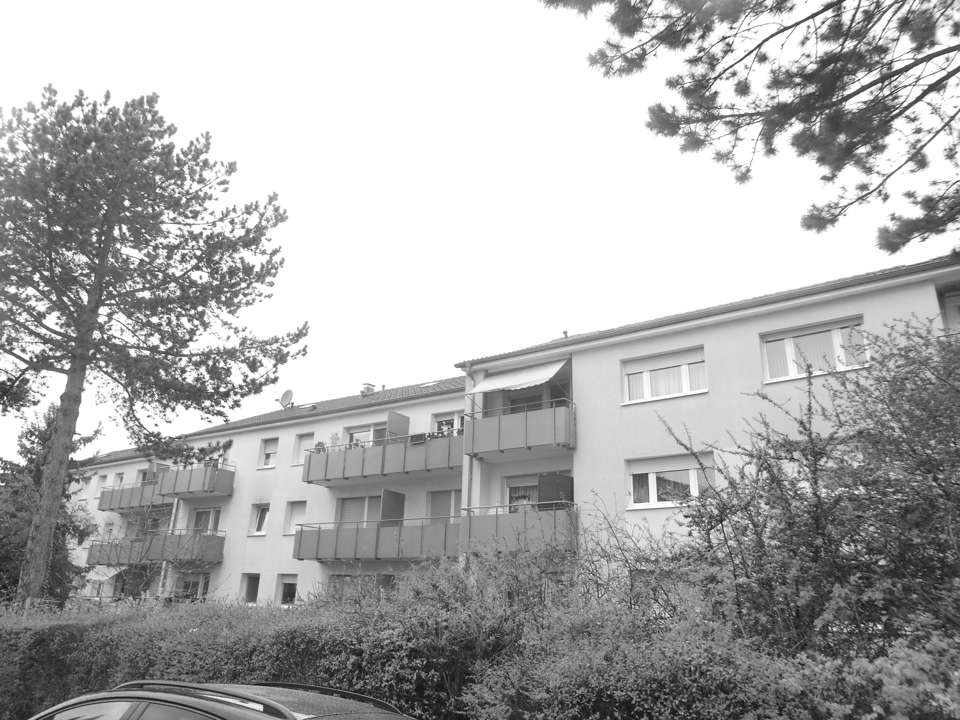 Wohnung zum Kaufen in Heddesheim 250.000,00 € 62 m²