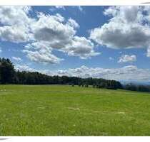 Haus zum Kaufen in Königsdorf 1.299.000,00 € 193 m²