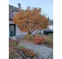 Haus zum Kaufen in Moers-Vennikel 499.000,00 € 157 m²