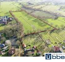 Grundstück zu verkaufen in Ihlow Ihlowerhörn 499.000,00 € 38601 m² - Ihlow / Ihlowerhörn