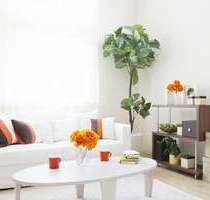 Wohnung zum Mieten in Düsseldorf 865,00 € 47.35 m²