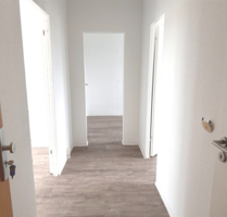 Wohnung zum Mieten in Bad Düben 299,00 € 58.7 m²