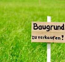Grundstück zu verkaufen in Büttelborn 200.000,00 € 350 m²
