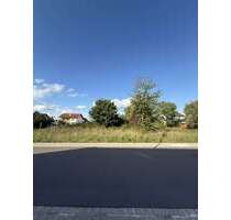 Grundstück zu verkaufen in Erlenbach 245.000,00 € 812 m²