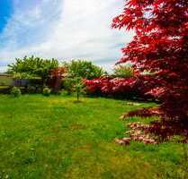 Grundstück zu verkaufen in Berlin 219.000,00 € 555 m²