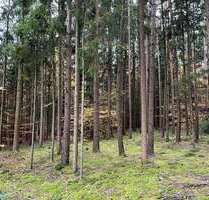 Grundstück in Brunnen 50.000,00 € 10279 m²