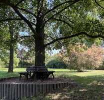 Wohnung zum Mieten in Zwickau 499,00 € 90 m²