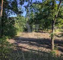 Grundstück zu verkaufen in Gifhorn Winkel 290.000,00 € 2200 m² - Gifhorn / Winkel