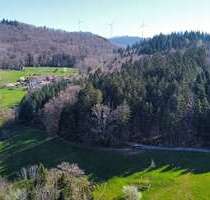Grundstück zu verkaufen in Schopfheim 5.500,00 € 11182 m²