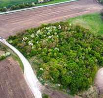 Grundstück zu verkaufen in Salzatal 9.000,00 € 12836 m²