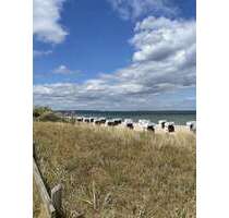 Grundstück zu verkaufen in Scharbeutz 1.400.000,00 € 1800 m²