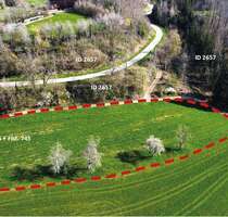 Grundstück zu verkaufen in Hasel 13.900,00 € 7081 m²