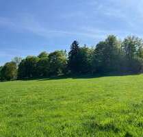 Grundstück in Schieder-Schwalenberg 40.000,00 € 25421 m²