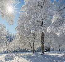 Grundstück zu verkaufen in Unterschleißheim 2.880.000,00 € 3100 m²