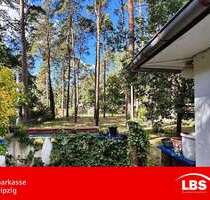 Haus zum Kaufen in Zschepplin 65.000,00 € 45 m²