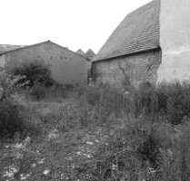 Grundstück zu verkaufen in Alzey 199.000,00 € 360 m²