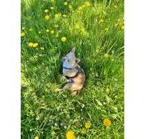 Wohnung zum Kaufen in Herrenberg 295.000,00 € 82 m²