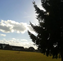 Grundstück zu verkaufen in DahmeMark 54.900,00 € 577 m² - Dahme/Mark