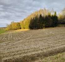 Grundstück in Pfeffenhausen 160.000,00 € 16866 m²