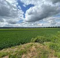 Grundstück zu verkaufen in Holtensen 229.000,00 € 1700 m²