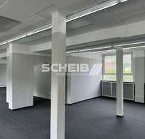 Einzelhandel in Künzelsau 1.225,00 € 175 m²