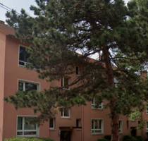Wohnung zum Mieten in Bad Kreuznach 495,00 € 54 m²
