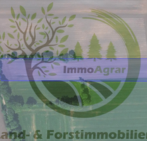 Grundstück in Schiffdorf 43.000,00 € 15566 m²