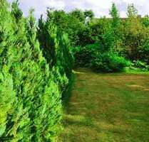 Grundstück zu verkaufen in Berlin 399.000,00 € 551 m²