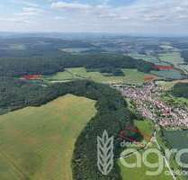 Grundstück in Lutter 24.900,00 € 24407 m²