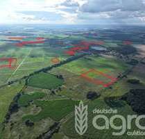 Grundstück in Altwigshagen Demnitz 960.000,00 € 597816 m² - Altwigshagen / Demnitz