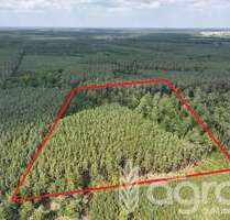 Grundstück in Friesack Haage 35.500,00 € 40376 m² - Friesack / Haage