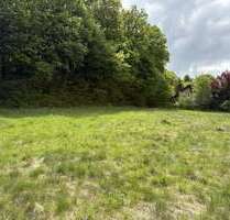 Grundstück zu verkaufen in Reichshof Denklingen 95.876,00 € 598 m² - Reichshof / Denklingen