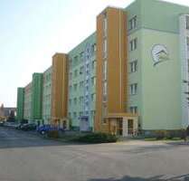 Wohnung zum Mieten in Finsterwalde 367,62 € 60.82 m²