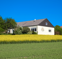 Haus zum Kaufen in Krastel 289.000,00 € 217.8 m²