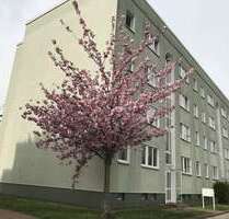 Wohnung zum Mieten in Lutherstadt Eisleben 359,00 € 56.71 m²