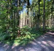 Grundstück in Babensham 149.000,00 € 14066 m²
