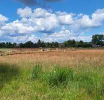 Grundstück zu verkaufen in Bersteland OT Freiwalde 75.900,00 € 741 m²