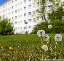Wohnung zum Mieten in Halle (Saale) 365,00 € 59.09 m²